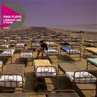 PINK FLOYD - A MOMENTARY LAPSE OF REASON in the group CD / Pop-Rock at Bengans Skivbutik AB (657070)