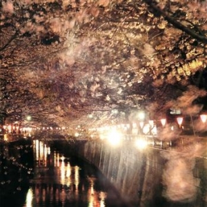 Blandade Artister - Enjoy The Silence Vol. 2 in the group CD / Pop at Bengans Skivbutik AB (657273)