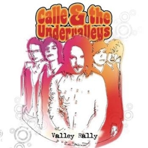 Calle & The Undervalleys - Valley Rally in the group OUR PICKS / Stocksale / CD Sale / CD POP at Bengans Skivbutik AB (657866)