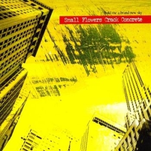 Small Flowers Crack Concrete - Build Me A Brand New Sky in the group CD / Pop-Rock at Bengans Skivbutik AB (661481)