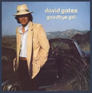 Gates David - Goodbye Girl in the group CD / Pop-Rock at Bengans Skivbutik AB (667145)