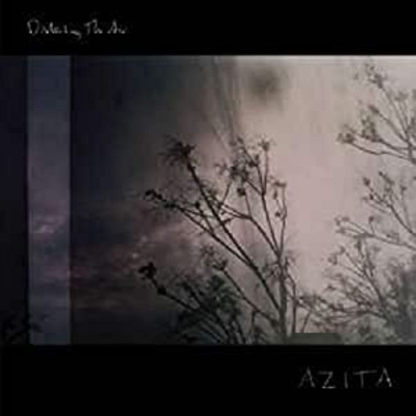 Azita - Disturbing The Air in the group VINYL / Bestsellers at Bengans Skivbutik AB (671939)
