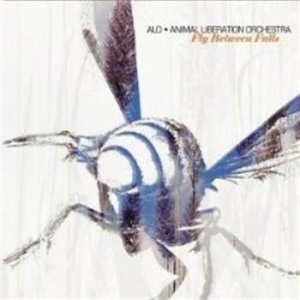 Alo - Fly Between Falls in the group CD / Pop at Bengans Skivbutik AB (675922)