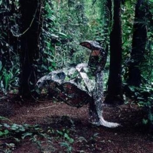 Css - Donkey in the group CD / Dance-Techno at Bengans Skivbutik AB (677433)