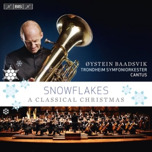 Öystein Baadsvik - Snowflakes in the group CD / Julmusik,Klassiskt at Bengans Skivbutik AB (683570)