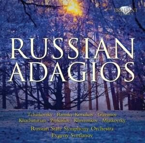 Various Composers - Russian Adagios in the group Externt_Lager /  at Bengans Skivbutik AB (684951)