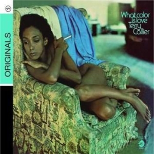 Callier terry - What Color Is Live in the group CD / Jazz/Blues at Bengans Skivbutik AB (687462)