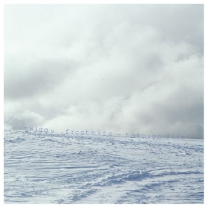 Twiggy Frostbite - Through Fire (Mediabook) in the group CD / Pop-Rock,Svensk Musik at Bengans Skivbutik AB (691927)