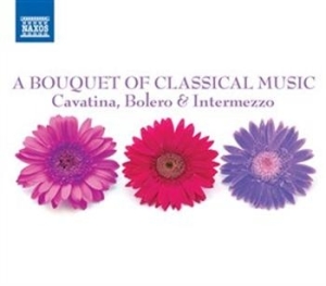 Various/ Cavatina Bolero & Interme - A Bouquet Of Classical Music in the group CD / Övrigt at Bengans Skivbutik AB (695275)