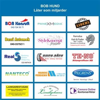 Bob Hund - Låter Som Miljarder in the group CD / Pop at Bengans Skivbutik AB (697751)