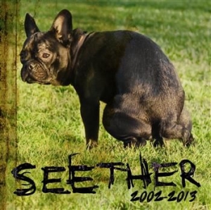 Seether - Seether: 2002 - 2013 in the group CD / Pop-Rock at Bengans Skivbutik AB (706908)