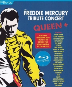 Blandade Artister - The Freddie Mercury Tribute Concert in the group MUSIK / Musik Blu-Ray / Pop-Rock at Bengans Skivbutik AB (741121)