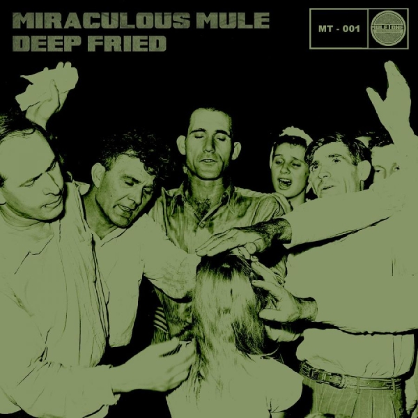 Miraculous Mule - Deep Fried in the group VINYL / Bestsellers at Bengans Skivbutik AB (780057)
