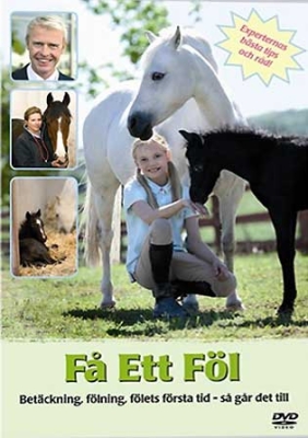 Film - Få Ett Föl in the group Movies / Film DVD at Bengans Skivbutik AB (825234)