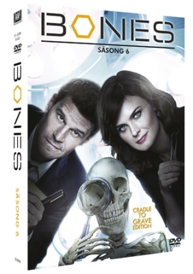Bones - Säsong 6 in the group OTHER / Movies DVD at Bengans Skivbutik AB (833402)