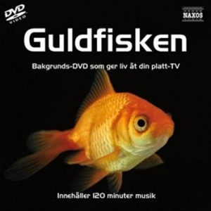 Skärmsläckar Dvd - Guldfiskar in the group OTHER /  / CDON Jazz klassiskt NX at Bengans Skivbutik AB (888653)