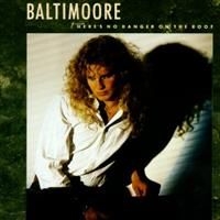 Baltimoore - There's No Danger On The Roof in the group CD / Pop-Rock at Bengans Skivbutik AB (949205)