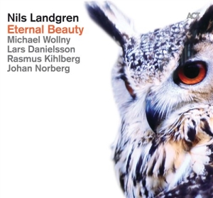 Nils Landgrenmichael Wollny Johan - Eternal Beauty in the group CD / Jazz/Blues at Bengans Skivbutik AB (950732)