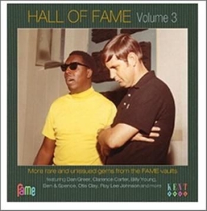 Various Artists - Hall Of Fame Volume 3 in the group CD / Pop-Rock at Bengans Skivbutik AB (953822)