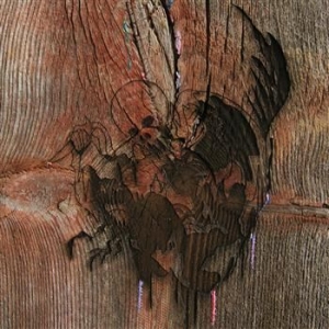 Avey Tare's Slasher Flicks - Enter The Slasher House in the group CD / Rock at Bengans Skivbutik AB (992288)