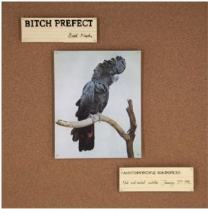 Bitch Prefect - Bird Nerds in the group VINYL / Pop at Bengans Skivbutik AB (992811)