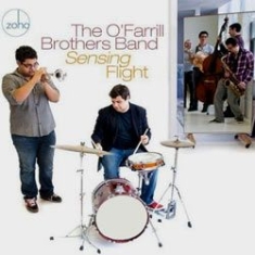 O'farrill Brothers Band - Sensing Flight in the group CD / Jazz/Blues at Bengans Skivbutik AB (1023854)