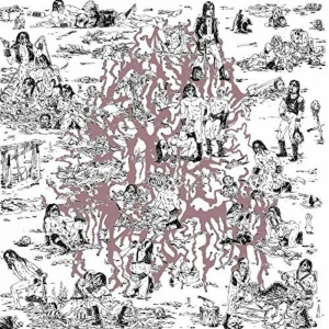 Soft Pink Truth The - Why Do The Heathen Rage?
