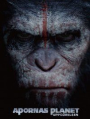 Apornas Planet - Uppgörelsen in the group OTHER / Övrigt /  at Bengans Skivbutik AB (1092944)