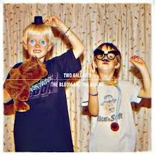 Two Gallants - Bloom And The Blight in the group CD / Rock at Bengans Skivbutik AB (1101959)