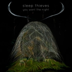 Sleep Thieves - You Want The Night