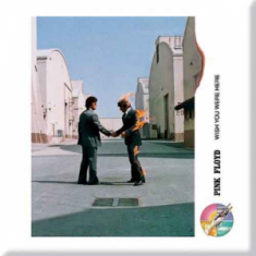 Pink Floyd - Wish you were here - Fridge Magnet