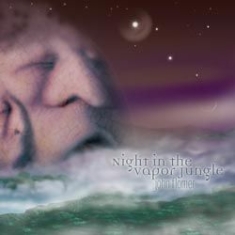 Flomer John - Night In The Vapor Jungle in the group OTHER / Övrigt /  at Bengans Skivbutik AB (1131311)