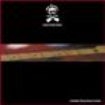Pirates - Land Of The Blind in the group CD / Pop-Rock at Bengans Skivbutik AB (1131470)