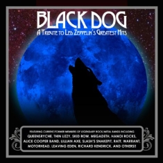 Led Zeppelin.=Tribute= - Black Dog