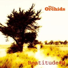 Orchids - Beatitude # 9
