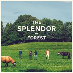Splendor - Forest