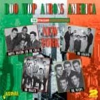 Blandade Artister - Doo Wop Across America (The Italian in the group CD / Pop at Bengans Skivbutik AB (1145949)