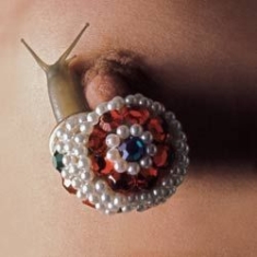 Dot Hacker - How's Your Process? (Play) in the group OTHER / Övrigt /  at Bengans Skivbutik AB (1146017)