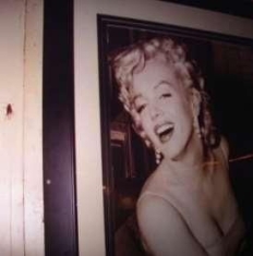 Lace Curtains - Garden Of Joy & The Well Of Lonelin in the group OTHER / Övrigt /  at Bengans Skivbutik AB (1164778)