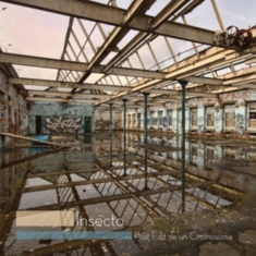 Insecto - Post Edit De Un Cromosoma