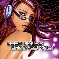 Blandade Artister - Deep House Grooves Vol. 1