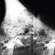 Godspeed You! Black Emperor - Asunder, Sweet And Other Distress (