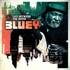 Bluey - Life Between The Notes