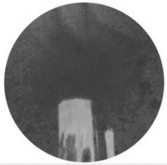 Dorji Tashi - Blue Twelve