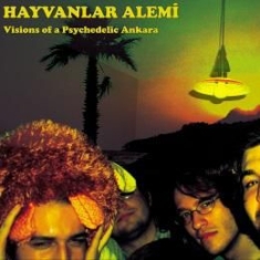 Hayvanlar Alemi - Visions Of A Psychedelic Ankara in the group VINYL / Rock at Bengans Skivbutik AB (1333787)