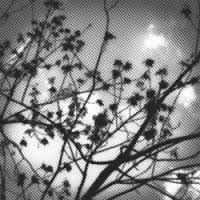 Rocchetti Claudio - Some Songs in the group OTHER / Övrigt /  at Bengans Skivbutik AB (1334846)