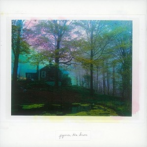 Pigeons - Bower
