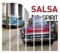 Blandade Artister - Spirit Of Salsa in the group CD / Elektroniskt at Bengans Skivbutik AB (1532907)