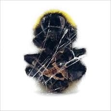 Deadbeat - Walls And Dimensions in the group OTHER / Övrigt /  at Bengans Skivbutik AB (1554385)