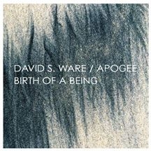 Ware David S. - Birth Of A Being (Expanded) in the group CD / Jazz/Blues at Bengans Skivbutik AB (1705191)